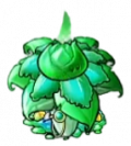 绿宝石卷心菜保护伞.png
