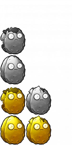 文件:金坚果-拆解图.png