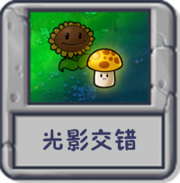 光影交错.png