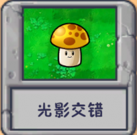 光影交错.png