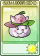 猫瓜-卡牌.png