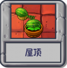屋顶：生存.png