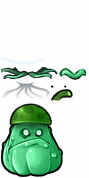 海窝瓜-拆解图.png