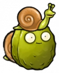 蜗牛坚果.png