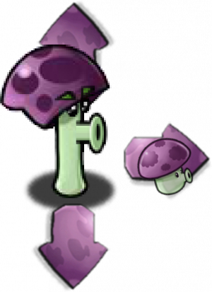 胆小菇扩散群-立绘.png