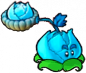 寒冰卷心菜-立绘.png