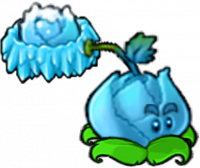 寒冰卷心菜投手-立绘.png