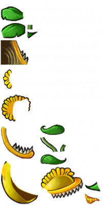 阳光大嘴花-拆解图.png