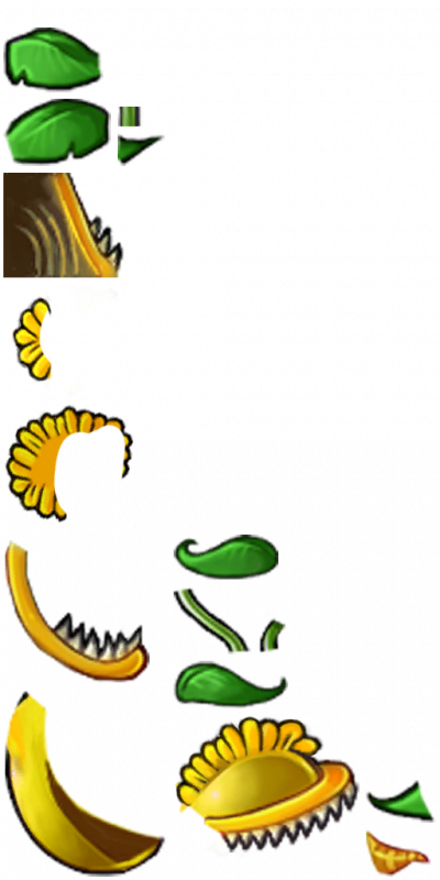 阳光大嘴花-拆解图.png