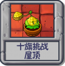 十旗挑战 屋顶.png