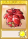 红宝石伞-卡牌.png