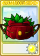 究极磁爆南瓜-卡牌.png