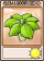 卷心菜保护伞-卡牌.png