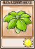 卷心菜保护伞