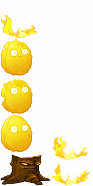 焰光坚果-拆解图.png