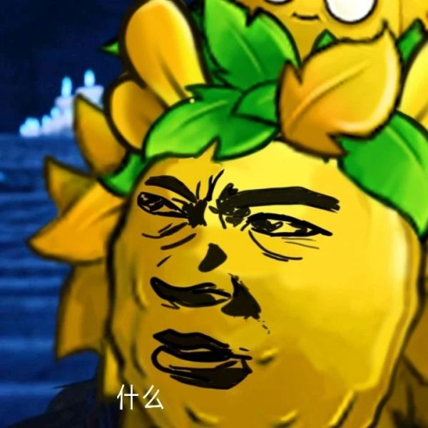 文件:什么?.jpg