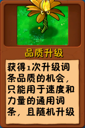 诸神词条-品质升级-木头品质.png