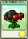 占位符-卡牌.png