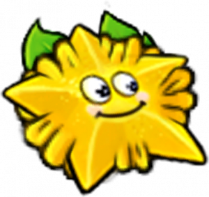 阳光杨桃-立绘.png