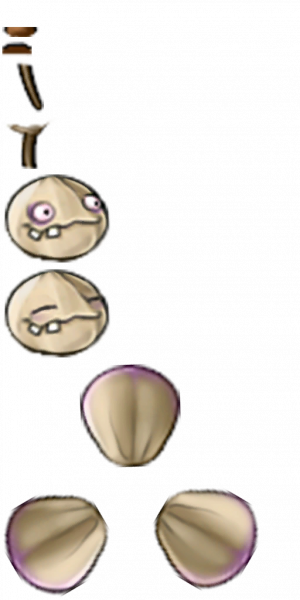 蒜三叶草-拆解图.png