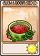 西瓜花盆-卡牌.png