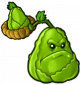 卷心菜窝瓜子弹-立绘.png