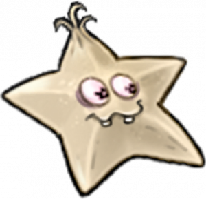 大蒜杨桃-立绘.png