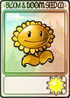 金向日葵