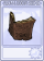 书刊-卡牌.png