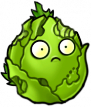 卷心菜坚果-立绘2.png