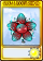 究极五叶草-卡牌.png