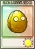 金坚果