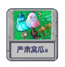 严肃窝瓜2.png