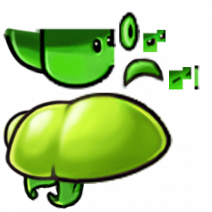 裂荚小喷菇-拆解图.png