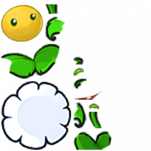 金盏花-拆解图.png