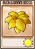 金保护伞
