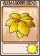 金保护伞-卡牌.png