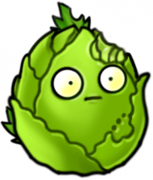 卷心菜坚果-立绘1.png