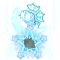 词条-星月护符.png