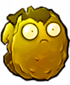 金坚果-立绘2.png
