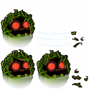 水草坚果-拆解图.png