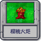 探索模式 樱桃火炬.png
