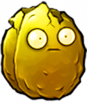 金坚果-立绘1.png