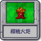 探索模式 樱桃火炬.png