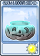 磁力南瓜-卡牌.png