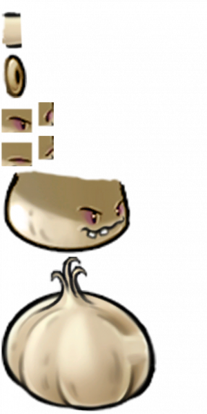 大蒜喷菇-拆解图.png