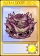 究极大蒜忧郁菇-卡牌.png