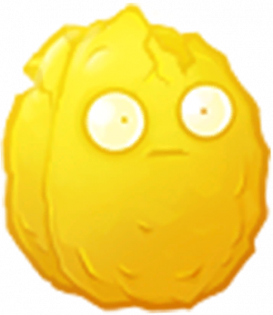 焰光坚果-立绘1.png