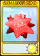 究极火爆星炬-卡牌.png
