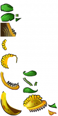 阳光大嘴花-拆解图-旧.png
